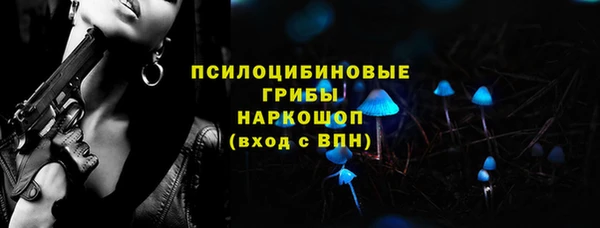 эйфоретик Арсеньев