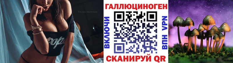 Галлюциногенные грибы Cubensis  kraken маркетплейс  Волгодонск 