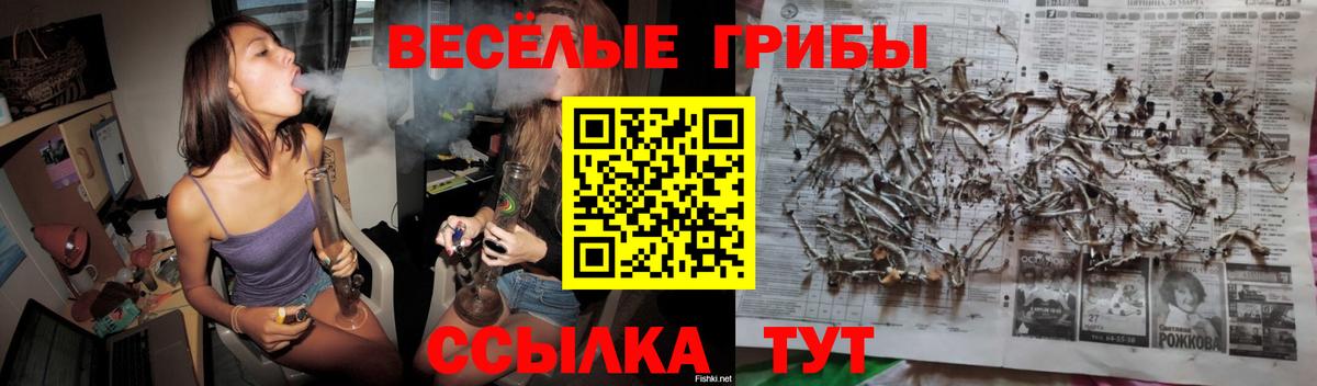 Волгодонск  Галлюциногенные грибы Psilocybine cubensis  Вход с VPN 